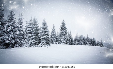 769,294 Background gray tree Images, Stock Photos & Vectors | Shutterstock