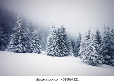 christmas background of snowy winter landscape with snow or hoarfrost covered fir trees and copy space - winter magic holiday - Shutterstock ID 516867121