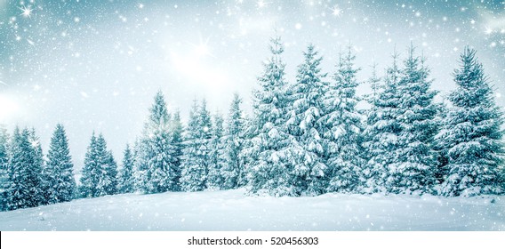 Christmas Background Snowy Winter Landscape Snow Stock Photo 520456303 ...