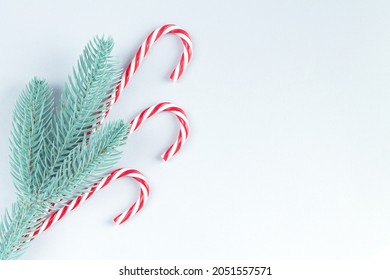 Christmas background with tree branch and traditional candycanes top view