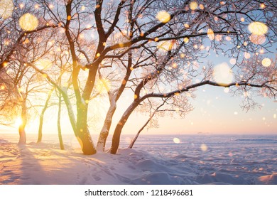Christmas background. Winter nature at sunset. Snowy landscape in golden sunlight. Frosty trees. Amazing winter wonderland. Xmas time. December. Shining snowflakes in winter scene. Glowing lights - Shutterstock ID 1218496681