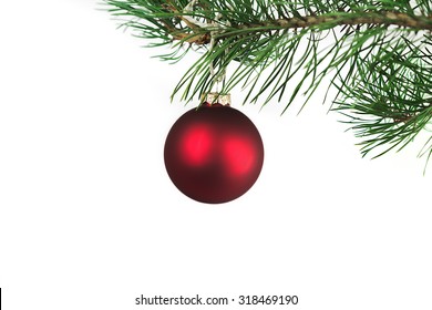 Christmas ball and green spruce branch, on white background