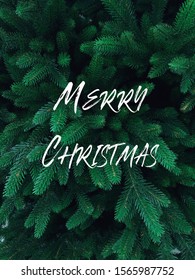 Christmas banner. Background Xmas design with pine tree vertical christmas poster, greeting cards, headers - Shutterstock ID 1565987752