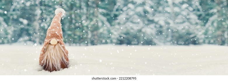 Christmas banner with cute gnome in snowy winter forest, copy space. Fairytale snowfall