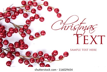 Christmas Berries On White Background