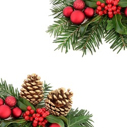 https://image.shutterstock.com/image-photo/christmas-border-flora-red-baubles-250nw-458608435.jpg