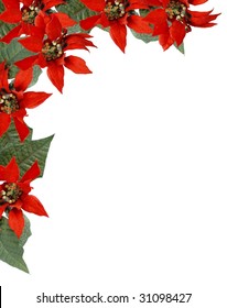 Christmas border frame of artificial red poinsettia flowers with green leaves located upper left corner. Isolated on white with copy space center and lower right. Vertical composition.