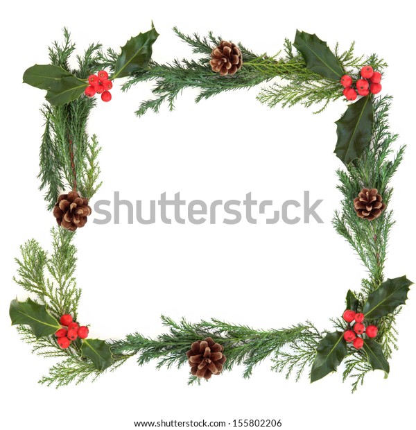 Christmas Border Holly Cedar Leaf Sprigs Stock Photo (edit Now) 155802206
