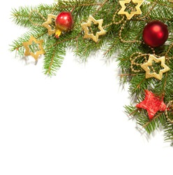 Christmas tree branches on white background as a border or