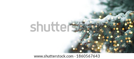 Christmas border, New year background. Beautiful green fir tree branches with gold lights decor on white banner. Winter noel concept.