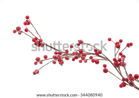 Christmas branch with red berries isolated on a white