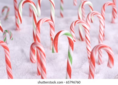 Christmas Candy Canes In Freshly Fallen Snow