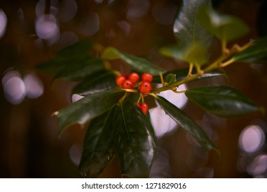 Christmas Card On Mantle With Red Ribbon And Lights.