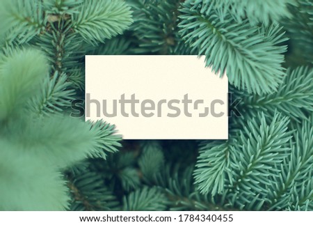 Christmas card and spruce branches around and against the background