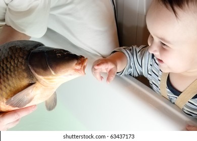 Christmas Carp In Bath With Smile Child