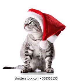 Christmas Cat Isolated On White