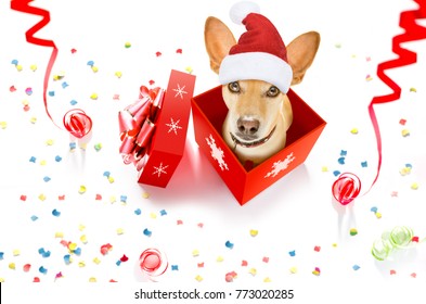 Christmas Card Cheerful Puppy Corgi New Stock Vector (Royalty Free ...