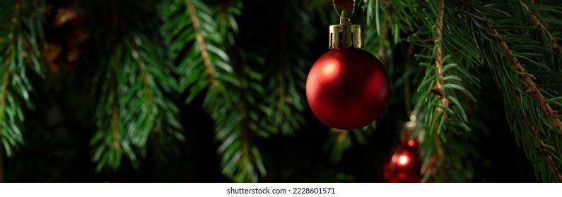 Christmas composition. Red ball on a Christmas tree close-up