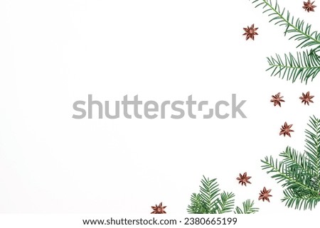 Christmas concept of branches with anise on white background. Flat lay, top view