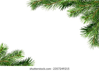 Christmas corner arrangement with green pine twigs isolated on white background