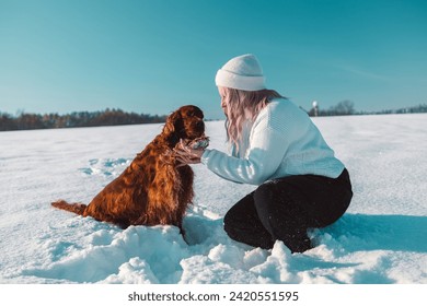 Christmas Day Happy young pink hair woman in warm clothes hugs her Irish setter dog in snowy winter forest outdoor at sunset. High quality FullHD footage - Powered by Shutterstock