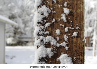 Christmas Day Snow In Gatlinburg