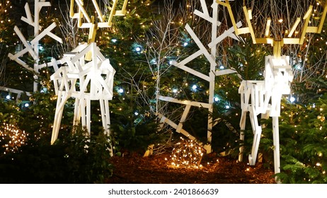 Christmas decoration, artistic production with recycled wood, ecological effort, light projection, winter vegetation, natural fir tree or shrub, green or white, at night, black sky, magical.