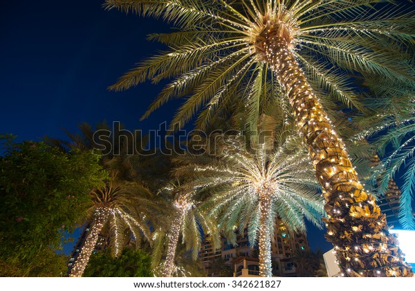 Christmas Decoration Background Palm Tree Stock Photo (Edit Now) 342621827