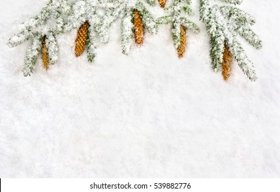 Christmas Decoration. Branch Fir Tree And Cones Spruce On Snow. Top View, Flat Lay