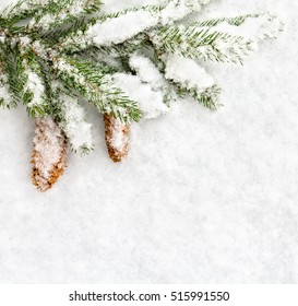 Christmas Decoration. Branch Christmas Tree And Cones Spruce On Snow. Top View, Flat Lay