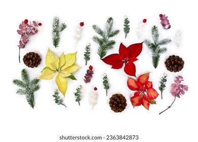 Christmas decoration. Flowers of white yellow and orange red orange poinsettia, branch christmas tree, berries mistletoe, cone, red berries on white background. Top view, flat lay