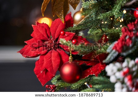 christmas decoration in the form of a red poinsettia christmas flower on a christmas tree along with other decorations, red and gold balls                              