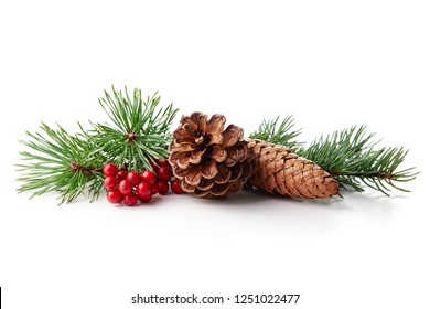 Free Christmas sprigs red Photos, Pictures and Images - PikWizard