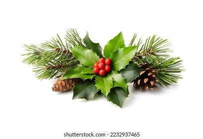 Christmas decoration of holly berry and pine cone. Winter natural decoration  - Powered by Shutterstock