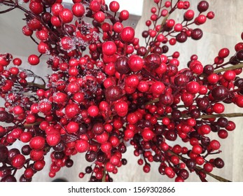 Christmas decoration with red berries, selective focus. Spruce branches and red berries. Christmas design. New year background with traditional decoration elements 