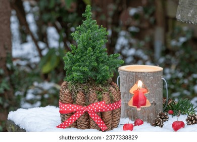 christmas decoration with spruce tree, fir cones and wooden lantern - Powered by Shutterstock