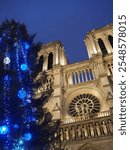 Christmas decorations in front of Notre-Dame Cathedral, Paris