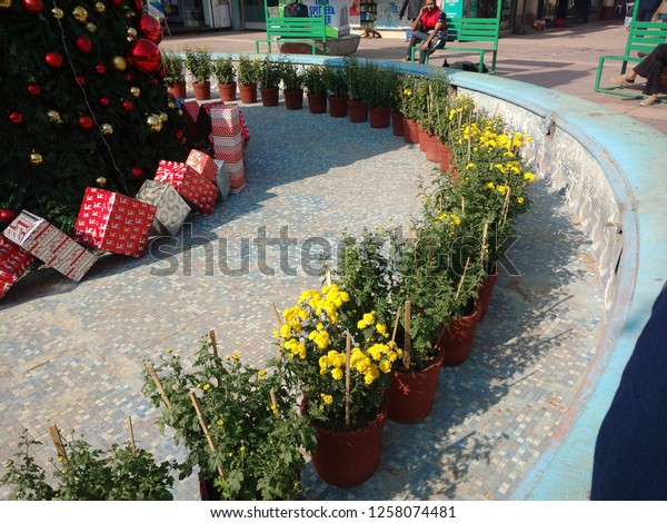 Christmas Decorations Galleria Market Dlf Phase4 Stock Photo Edit