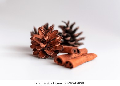 Christmas decorations. pine cones and cinnamon sticks on a white background - Powered by Shutterstock