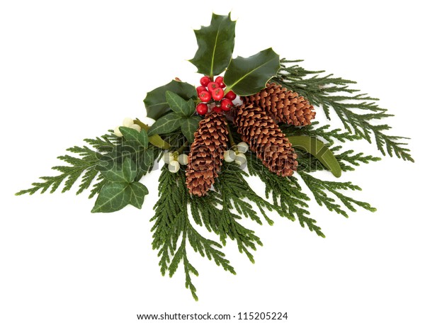 Christmas Decorative Arrangement Holly Mistletoe Ivy Stock Photo ...