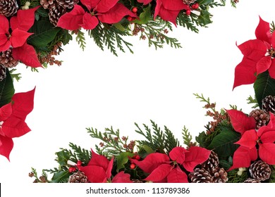 Christmas decorative border of poinsettia flower heads, holly, ivy, mistletoe and cedar leaf sprigs with pine cones over white background.