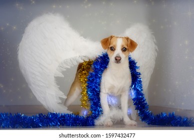 Christmas Dog With Angel Wings And Christmas Ornaments And Lights