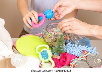 Christmas Donation. Woman Hand Putting Money Into Glass Jar To Support Animal Shelter. Volunteer Teenagers Collecting Pet Food And Supplies, Preparing Donated Items To Cardboxes For Animal Shelters