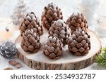 Christmas edible chocolate brownie pine cones, sweet and tasty  holiday Christmas and New Year baking