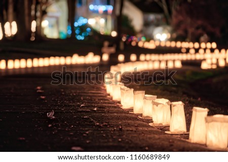 Christmas Eve candle lights, lanterns in paper bags at night along road, street, path illuminated by houses in residential neighborhood in Virginia