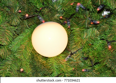 christmas or event flowers lights - Shutterstock ID 771034621