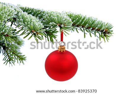 Christmas evergreen spruce tree and red glass ball