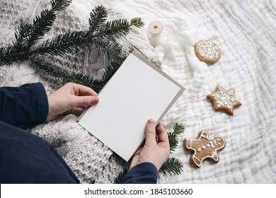 Christmas Festive Still Life. Little Child Hands Holding Blank Greeting Card. Invitation Mockup On Knitted Sweather. Gingerbread Cookies And Fir Branches On White Muslin Blanket. Selective Focus.