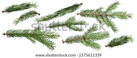 Christmas Fir branch isolated png transparent. christmas tree. Christmas green spruce branch. Object for christmas card, packaging, banner, calendar.