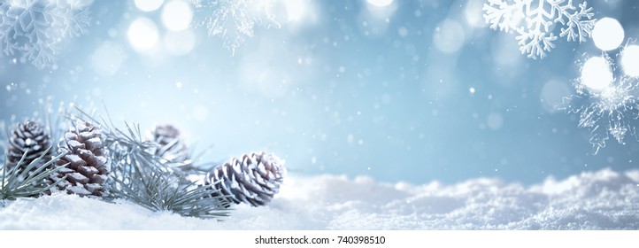 Christmas fir branch on snow - Powered by Shutterstock